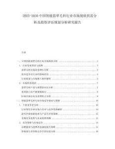2025-2030中國智能翡翠毛料行業市場現狀供需分析及投資評估規劃分析研究報告
