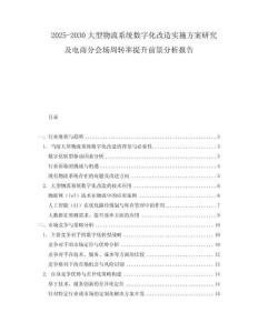 2025-2030大型物流系統數字化改造實施方案研究及電商分會場周轉率提升前景分析報告