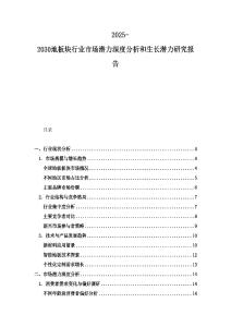 2025-2030地板塊行業(yè)市場潛力深度分析和生長潛力研究報告