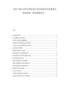 2025-2030過程分析技術行業(yè)市場供需分離現象分析投資統(tǒng)一控制策略得出