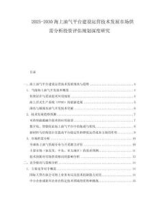 2025-2030海上油氣平臺(tái)建設(shè)運(yùn)營(yíng)技術(shù)發(fā)展市場(chǎng)供需分析投資評(píng)估規(guī)劃深度研究