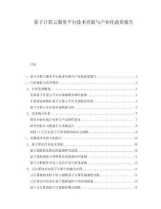 量子計算云服務平臺技術突破與產(chǎn)業(yè)化前景報告