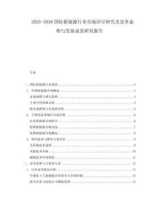 2025-2030國(guó)際新能源行業(yè)市場(chǎng)詳盡研究及競(jìng)爭(zhēng)態(tài)勢(shì)與發(fā)展前景研究報(bào)告