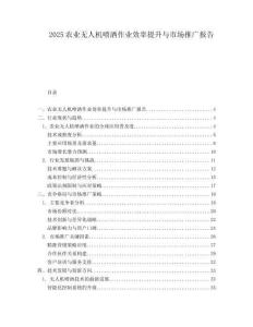 2025農(nóng)業(yè)無人機(jī)噴灑作業(yè)效率提升與市場推廣報(bào)告