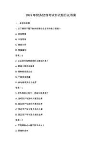 2025年財務經理考試測試題目及答案