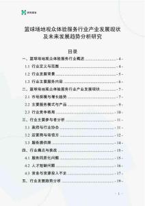 篮球场地观众体验服务行业产业发展现状及未来发展趋势分析研究