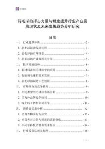 羽毛球拍揮擊力量與精度提升行業產業發展現狀及未來發展趨勢分析研究