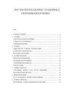 2025-2030柔性屏顯示技術(shù)制造工藝電池續(xù)航能力手機控制面板市場競爭規(guī)劃報告