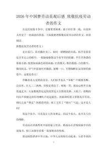 2026年中國夢勞動美觀后感_致敬抗疫勞動者的作文