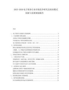 2025-2030電子商務(wù)行業(yè)市場競爭研究及商業(yè)模式創(chuàng)新與發(fā)展規(guī)劃報告