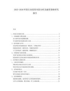 2025-2030環(huán)保行業(yè)投資風(fēng)險(xiǎn)分析及融資策略研究報(bào)告
