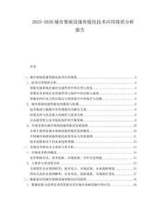 2025-2030城市基礎(chǔ)設(shè)施智能化技術(shù)應(yīng)用現(xiàn)狀分析報(bào)告