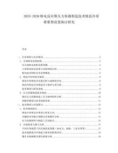 2025-2030核電反應堆壓力容器制造技術熔鹽冷卻堆堆型前景探討研究
