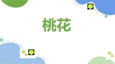 《桃花》美術(shù)教育PPT繪畫課件創(chuàng)意教程教案