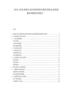 2025-2030海峽行業(yè)風險投資區(qū)域經(jīng)濟聯(lián)動及投資融資策略研究報告