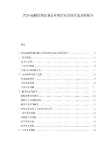 2026磁粉檢測設備行業現狀及市場前景分析報告