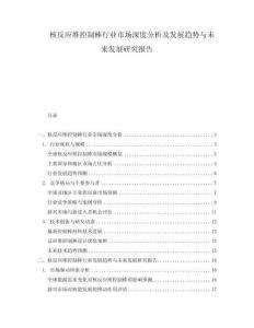 核反應堆控制棒行業市場深度分析及發展趨勢與未來發展研究報告
