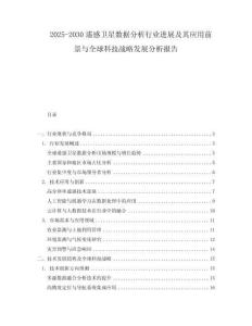 2025-2030遙感衛星數據分析行業進展及其應用前景與全球科技戰略發展分析報告