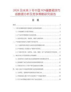 2026及未來5年中國92%碾磨瓷球市場數(shù)據(jù)分析及競爭策略研究報告