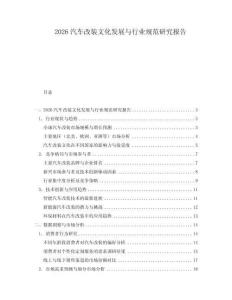 2026汽車改裝文化發(fā)展與行業(yè)規(guī)范研究報告