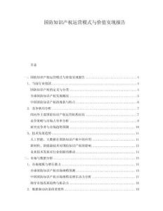 國防知識產權運營模式與價值實現報告