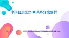 中國(guó)健康醫(yī)療HE共識(shí)深度解析效能提升與優(yōu)化策略核心要點(diǎn)與難點(diǎn)突破