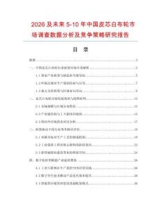 2026及未來5-10年中國皮芯白布輪市場(chǎng)調(diào)查數(shù)據(jù)分析及競(jìng)爭(zhēng)策略研究報(bào)告