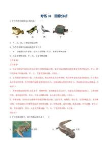 專題08 圖像分析-（人教版）（解析版）