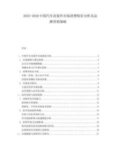2025-2030中國汽車改裝件市場消費特征分析及品牌營銷策略