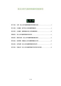 語義分析與漏洞挖掘的深度結合