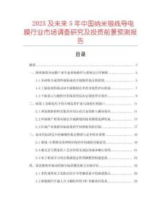 2025及未來5年中國納米銀線導電膜行業(yè)市場調查研究及投資前景預測報告