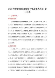 2025年內(nèi)外部審計(jì)統(tǒng)籌與整改推進(jìn)總結(jié)_審計(jì)經(jīng)理