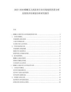 2025-2030螳螂無人機防務行業市場現狀供需分析及投資評估規劃分析研究報告