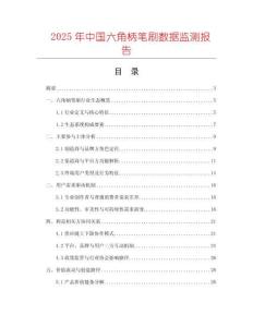 2025年中國(guó)六角柄筆刷數(shù)據(jù)監(jiān)測(cè)報(bào)告