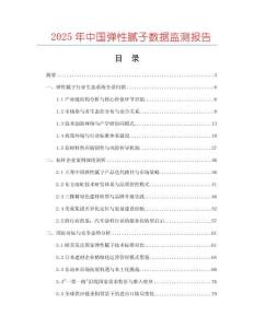 2025年中國彈性膩子數據監測報告