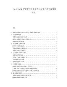 2025-2030智慧市政設施建設與城市公共資源管理研究