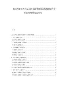 激情四射意大利足球職業聯賽體育市場規模競爭分析投資規劃發展指南