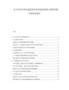 電子支付行業(yè)市場(chǎng)發(fā)展分析及前景趨勢(shì)與投資風(fēng)險(xiǎn)評(píng)估研究報(bào)告