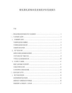 婚禮婚禮影視業需求現狀評估發展報告