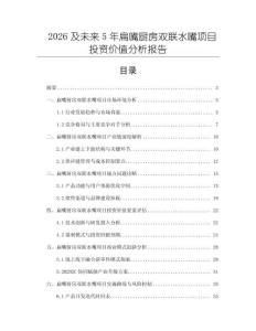 2026及未來(lái)5年扁嘴廚房雙聯(lián)水嘴項(xiàng)目投資價(jià)值分析報(bào)告