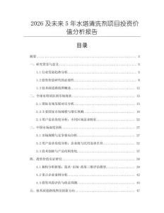 2026及未來5年水塔清洗劑項目投資價值分析報告