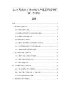 2026及未來5年水銹凈產品項目投資價值分析報告