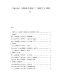 西藏布達(dá)拉山脈旅游市場(chǎng)現(xiàn)況評(píng)估投資規(guī)劃分析報(bào)告