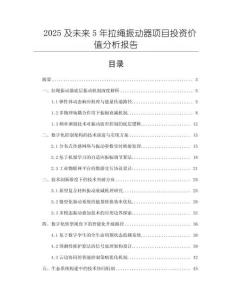 2025及未來5年拉繩振動器項目投資價值分析報告