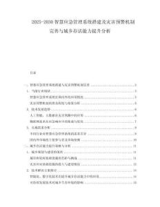 2025-2030智慧應(yīng)急管理系統(tǒng)搭建及災(zāi)害預(yù)警機(jī)制完善與城鄉(xiāng)存活能力提升分析