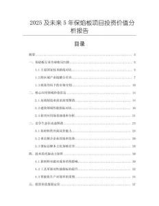 2025及未來5年保焰板項目投資價值分析報告