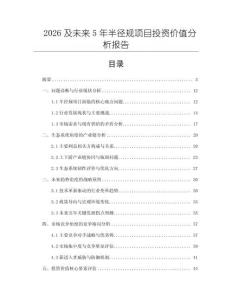 2026及未來(lái)5年半徑規(guī)項(xiàng)目投資價(jià)值分析報(bào)告