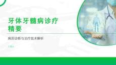 牙体牙髓病诊疗精要