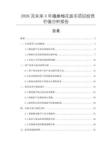 2026及未來5年撬捧梅花扳手項目投資價值分析報告