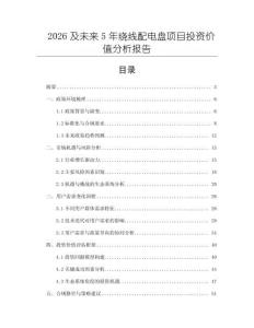 2026及未來(lái)5年繞線配電盤項(xiàng)目投資價(jià)值分析報(bào)告
